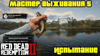 Прохождение RDR 2 на 100% - Испытание: Мастер выживания 5 (Глава 2 - Нагорье Подкова)