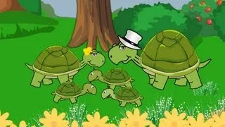 La famille Tortue