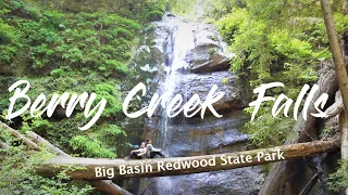 Berry Creek Falls Loop Trail - 13 Miles Hike | Big Basin Redwood State Park | Boulder Creek, CA