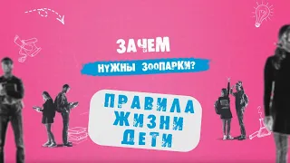 «Правила жизни. Дети»: зачем нужны зоопарки?