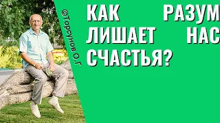 Как разум лишает нас счастья? Торсунов лекции