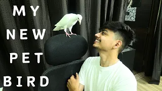 Meet My New Friend | Ayush Singh