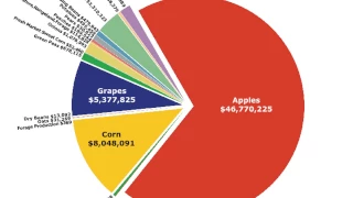 Fruit and Vegetable Crop Insurance Short Presentation