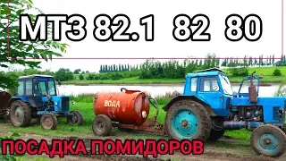 6 ТРАКТОРОВ в ПОЛЕ: МТЗ | 82.1 | 82 | 80  Т25  ПОСАДКА ПОМИДОРОВ