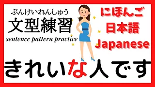 【Minna No Nihongo Lesson 8 | Speaking Practice | Sentence Pattern Drill　きれいな人です。