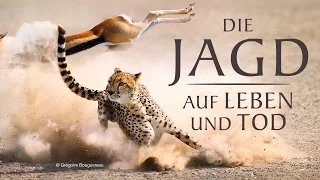 Die Jagd - Auf Leben und Tod - Trailer [HD] Deutsch / German