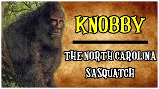 Knobby - The North Carolina Sasquatch (North American Folklore)