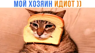 МОЙ ХОЗЯИН ИДИОТ ))) Приколы | Мемозг 1425