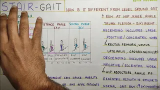 STAIR GAIT  (Gait Biomechanics)Physiotherapy Tutorial