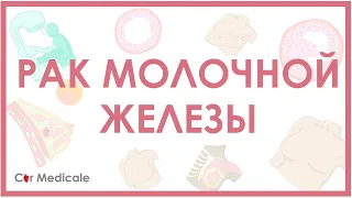 Рак молочной железы