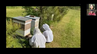The History of Stevens Bee Co: Building a sideline bee breeding operation with Cory Stevens