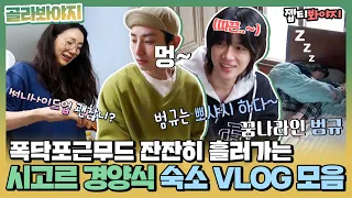 [골라봐야지] 포근하고 따끈한 #mood 잔잔하게 흘러가는 시고르 숙소 VLOG 모음ㅣ시고르경양식ㅣJTBC 211223 방송 외