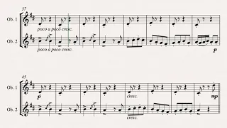 Farandole from L'Arlesienne Suite No. 2 arranged for Oboe Duet