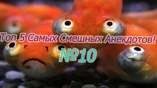 ТОП 5 САМЫХ СМЕШНЫХ АНЕКДОТОВ №10