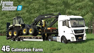 CUTTING AND LOGGING TREES + NEW LOWLOADER - Farming Simulator 22 FS22 Calmsden Farm Ep 46