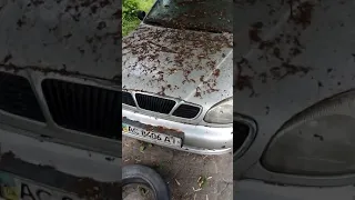 Покинутий автомобіль в центрі Нововолинська