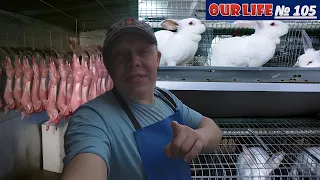 Пришла весна пришли проблемы  Мясо, Корм, Навоз и Быт  Spring came problems. Meat, Fodder, Manure an