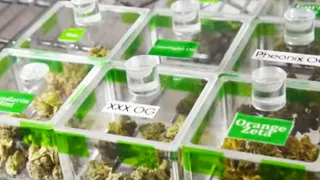 Weed Company Sued By Unhappy Customers