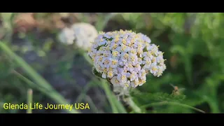 Minnesota Valley National Wildlife Refuge Nature Play Area #minnesota #nature #birds #valley