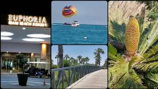 Турция. Отель Euphoria palm beach  resort. Июнь 2023 г.  Часть 2.