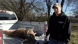How To Remove Lymph Nodes For CWD Testing
