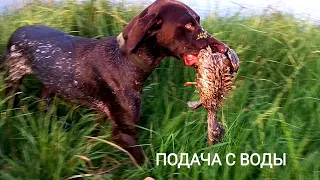 НАТАСКА КУРЦХААРА/ ПОДАЧА С ВОДЫ/