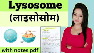 cell biology (L-10),lysosome bsc 1st year zoology knowledge adda lion batch notes pdf zoology