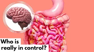 Do Your Gut Bacteria Control Your Mind?