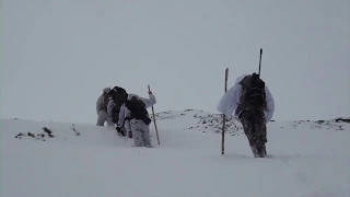 Охота на снежного барана
