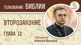 Книга Второзаконие, глава 12. Священник Алексей Волчков. Толкование Ветхого Завета Толкование Библии