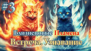 Близнецовые пламена #3. Встреча. Узнавание. Ошибки.