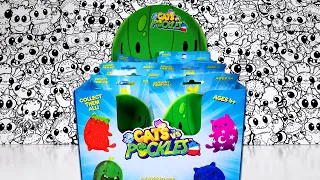 24 Cats Vs Pickles Blind Bag Full Case Opening