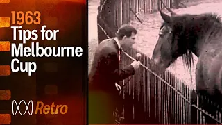 Can’t pick a Melbourne Cup winner? Ask a horse, of course (1963)  | RetroFocus | ABC Australia