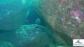 Underwater adventures in São Miguel Island