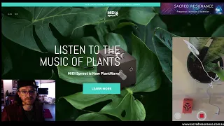 Plant Music - Bluetooth Tutorial