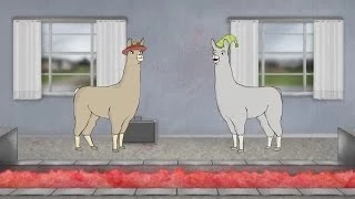 Lamas mit Hüten 6