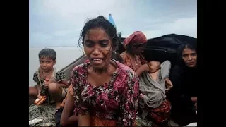 Pregnant Rohingya women, babies suffer most