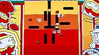 Dig Dug Round 255