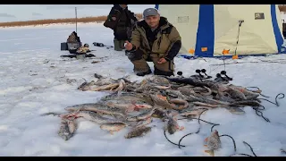 Первый лед 2019 2020. Турбоклев продолжается. Рыбалка в Якутии.