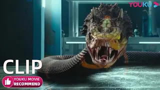 La serpiente gigante y el Tiranosaurio se enfrentan. ¿Quién ganará?| Dinosaurio mutado de ira| YOUKU