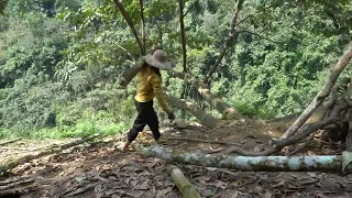 TIMELAPSE: START to FINISH ALONE  Building Bamboo House - BUILD LOG CABIN on tree house