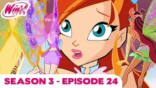 Winx Club - Season 3 Episode 24 - Witches' Revelation - [FULL EPISODE]