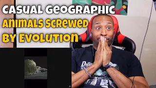 Animals that Got the Middle Finger from Evolution REACTION | DaVinci REACTS