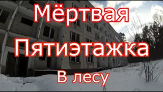 Заброшенный пятиэтажный дом в лесу