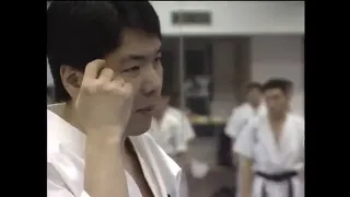 kyokushin karate 1995 Training