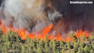 Horrific Scenes From Fire on Evia Island, Greece