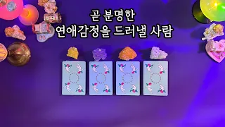 [타로]분명한 연애감정을 드러낼사람 #외모 #첫만남