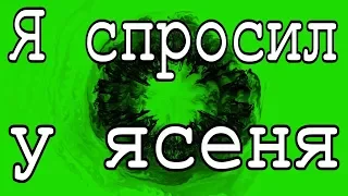 Песня Я спросил у ясеня из фильма Ирония судьбы песни на новый год