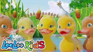 Five Little Ducks🦆+ Bingo - Preschool Baby Songs | Kids Songs and Nursery Rhymes - LooLoo Kids