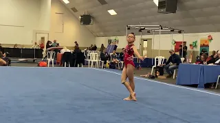 Level 5 Floor Gymnastics 2022, 🥇